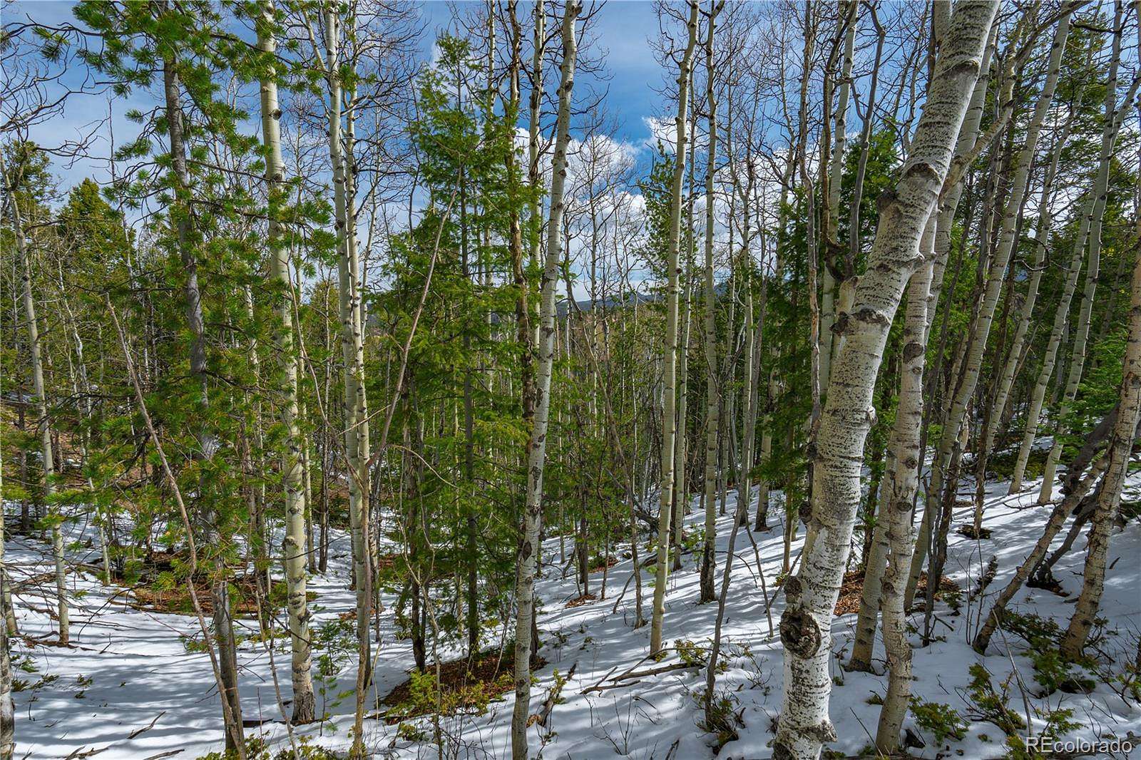 1.58 Acres of Residential Land for Sale in Cripple Creek, Colorado