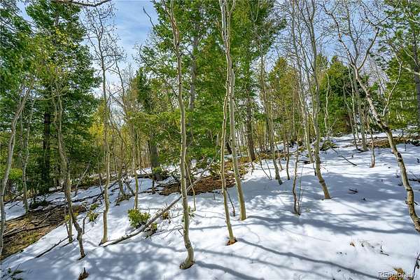 2 Acres of Residential Land for Sale in Cripple Creek, Colorado