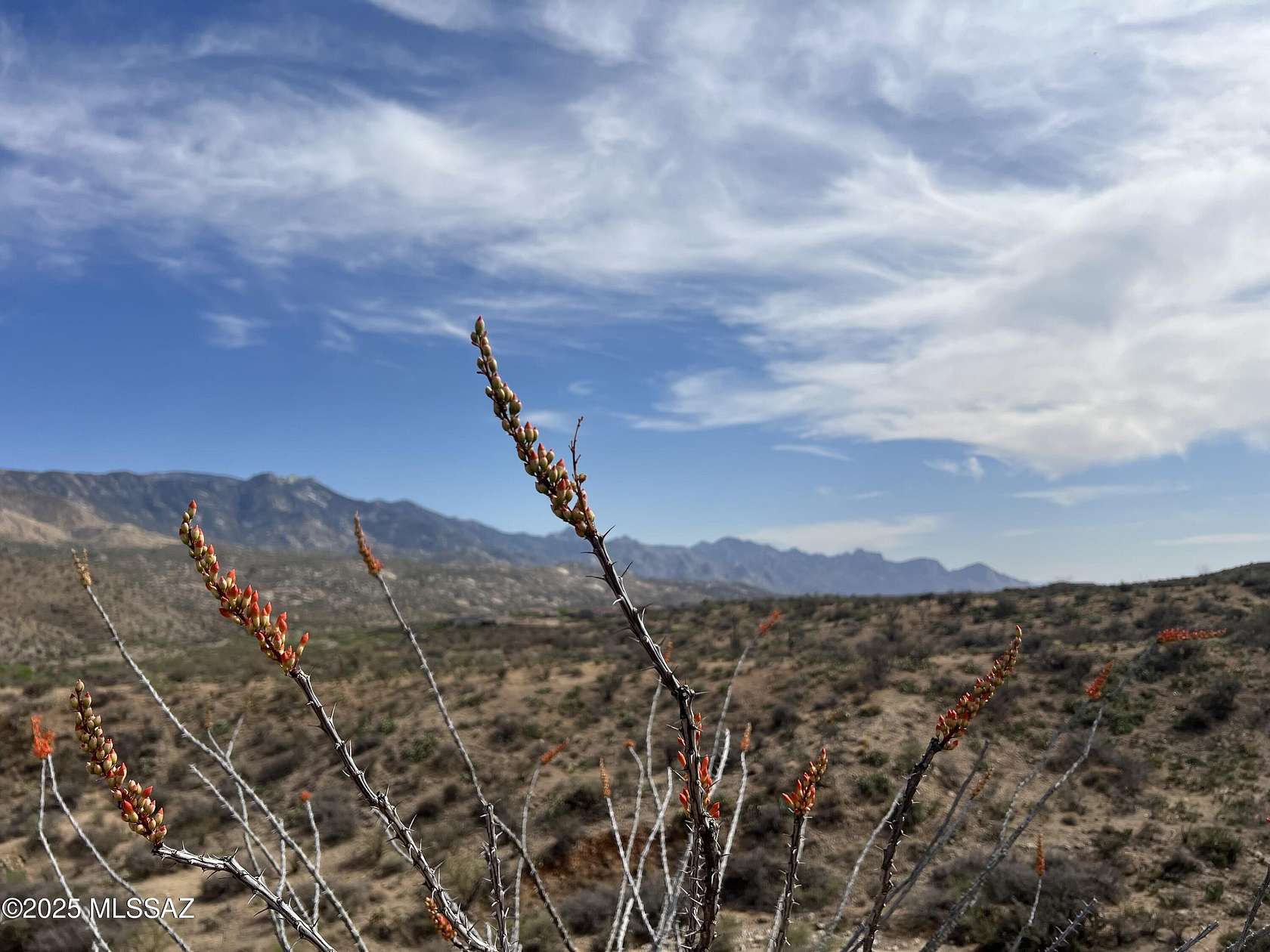 12.2 Acres of Land for Sale in Saddlebrooke, Arizona