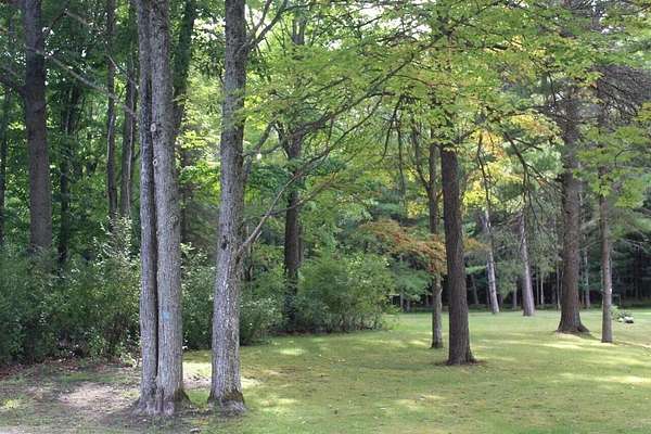 0.54 Acres of Land for Sale in Roscommon, Michigan