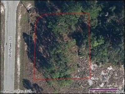 0.25 Acres of Residential Land for Sale in Lake Placid, Florida