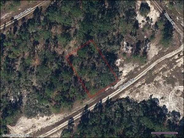 0.25 Acres of Residential Land for Sale in Lake Placid, Florida