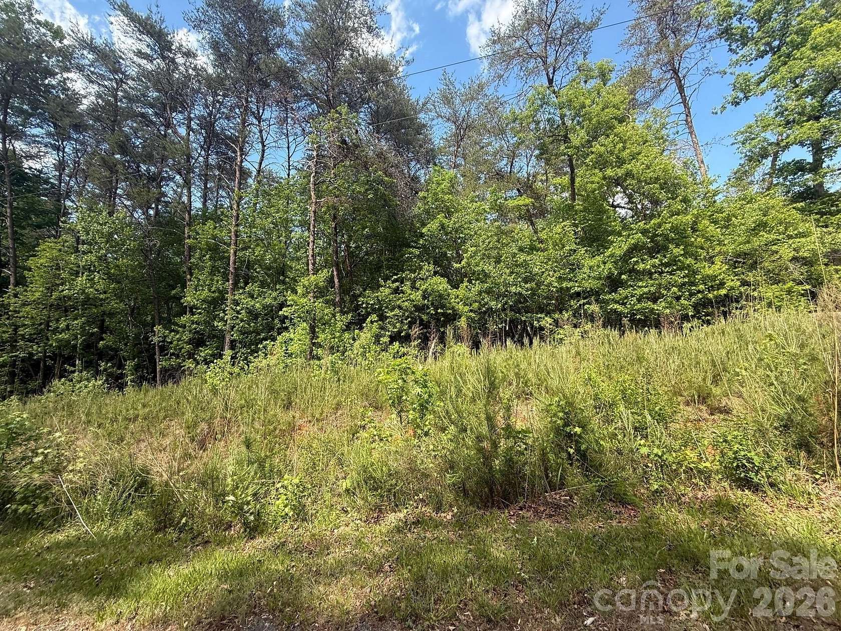 0.34 Acres of Residential Land for Sale in Troy, North Carolina