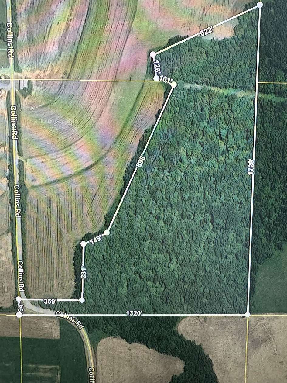 27.6 Acres of Recreational Land for Sale in Mount Hope, Wisconsin