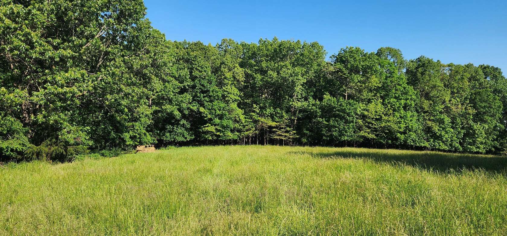 37 Acres of Land for Sale in Rocky Comfort, Missouri