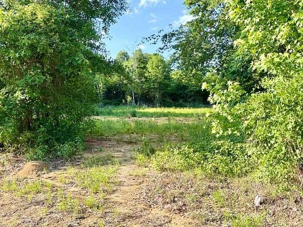 23.7 Acres of Land for Sale in Okolona, Mississippi
