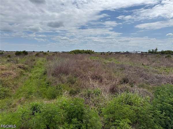 10 Acres of Agricultural Land for Sale in LaBelle, Florida