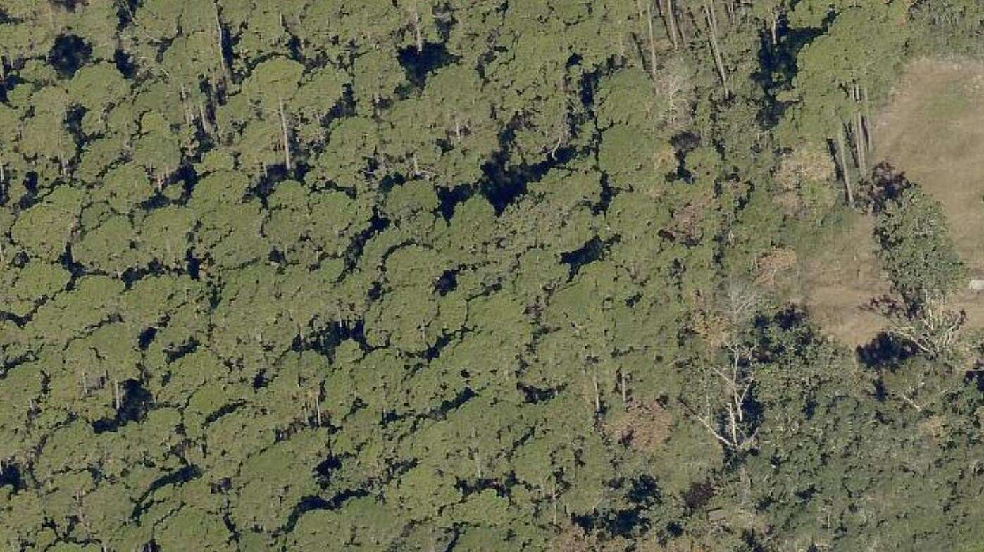 0.14 Acres of Residential Land for Sale in Santa Rosa Beach, Florida