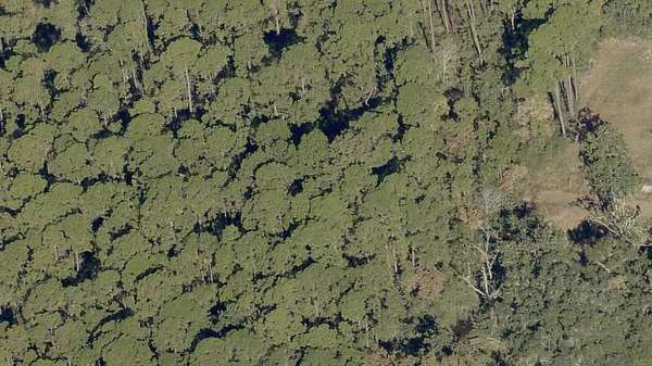 0.14 Acres of Residential Land for Sale in Santa Rosa Beach, Florida