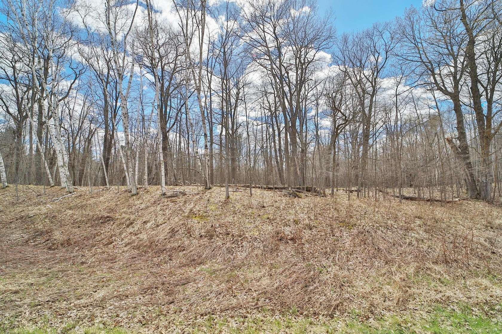 13.3 Acres of Recreational & Residential Land for Sale in Aitkin, Minnesota
