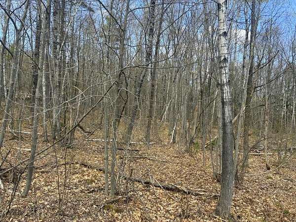 2.17 Acres of Residential Land for Sale in Wilton, Maine