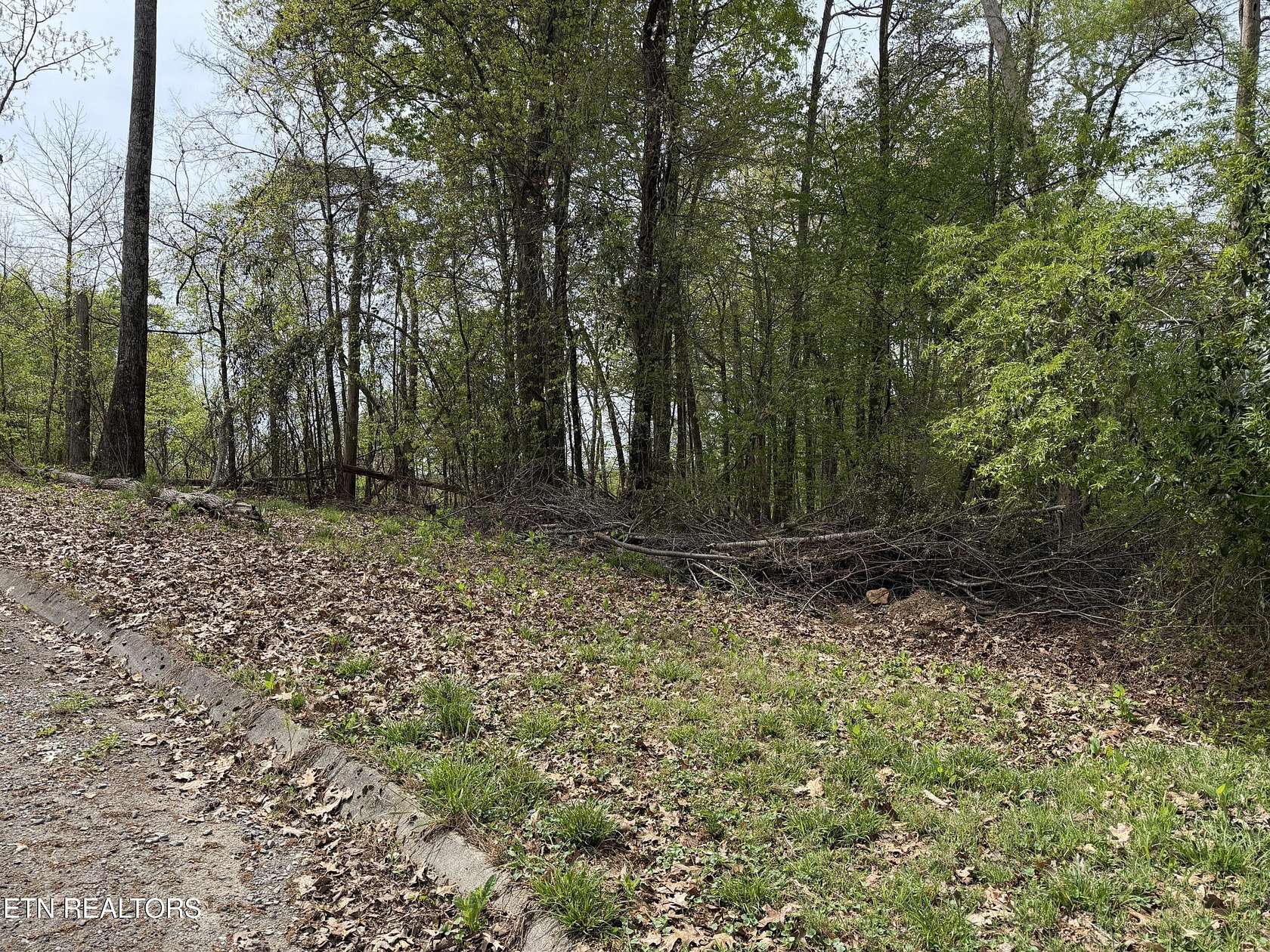 1 Acre of Residential Land for Sale in Sevierville, Tennessee