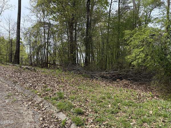 1 Acre of Residential Land for Sale in Sevierville, Tennessee