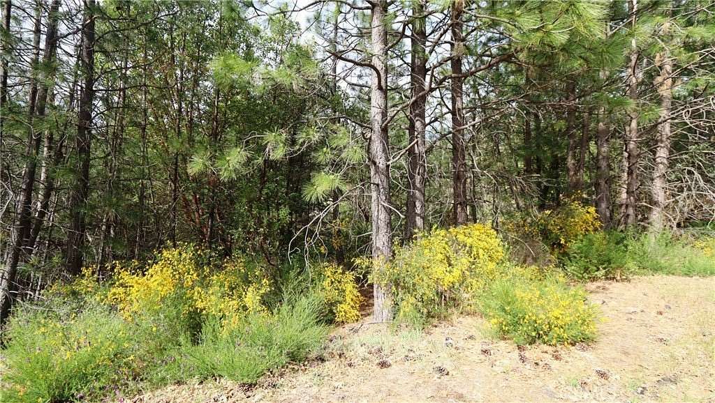 1 Acre of Residential Land for Sale in Cobb, California