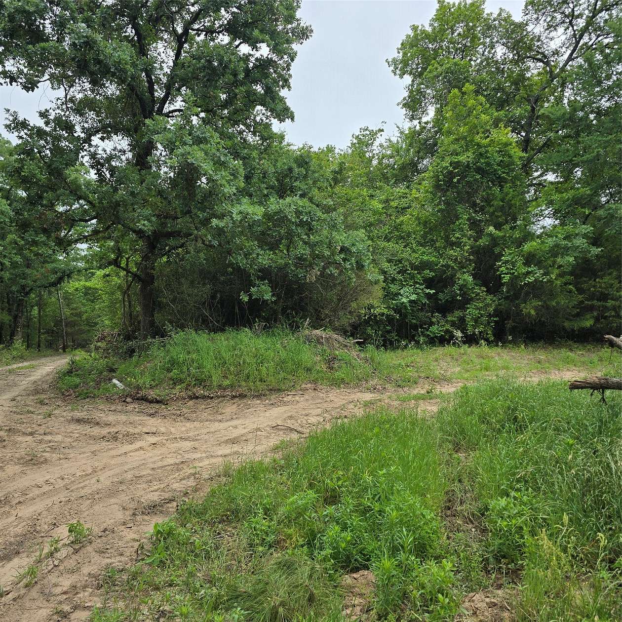 20 Acres of Land for Sale in Mabank, Texas