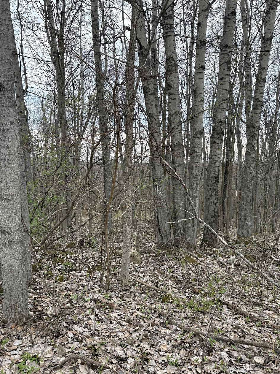34.9 Acres of Recreational Land for Sale in Lisbon, New York