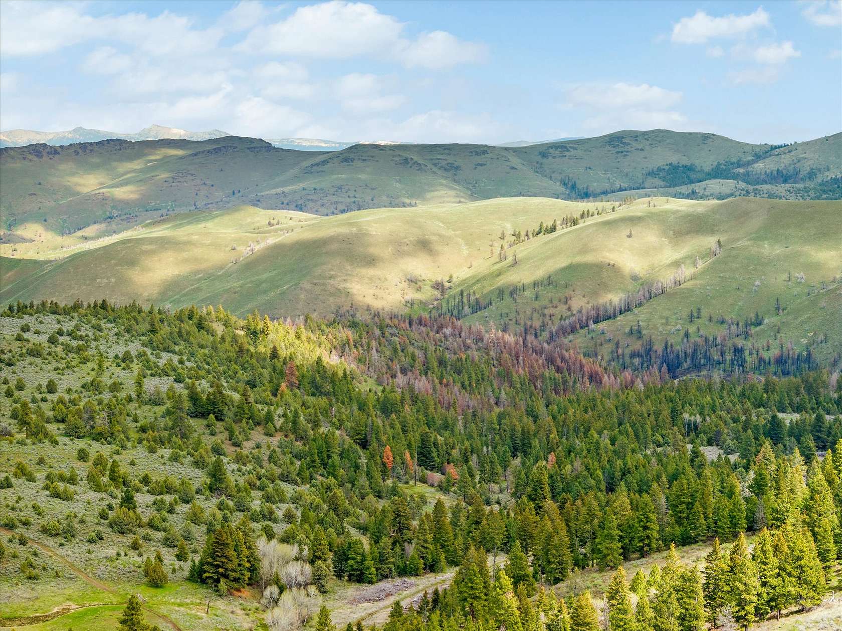 1,676 Acres of Recreational Land for Sale in Bridgeport, Oregon
