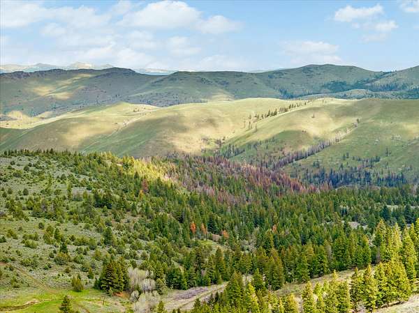 1,676 Acres of Recreational Land for Sale in Bridgeport, Oregon