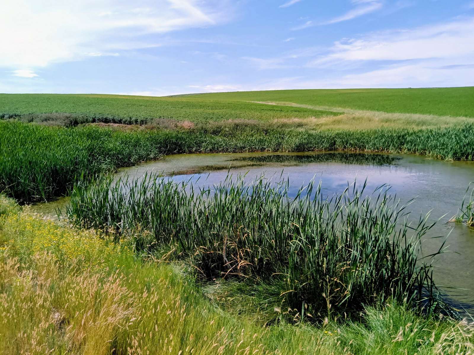445 Acres of Recreational Land for Sale in Craig, Colorado