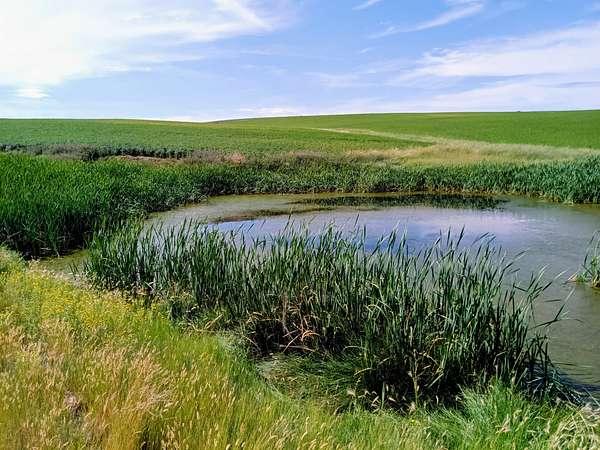 445 Acres of Recreational Land for Sale in Craig, Colorado