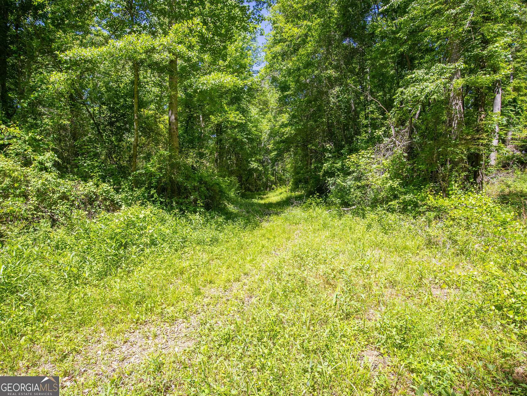 15.7 Acres of Mixed-Use Land for Sale in Newnan, Georgia