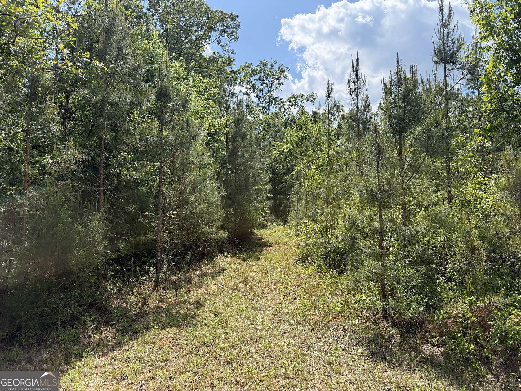 12 Acres of Recreational & Residential Land for Sale in Cuthbert, Georgia