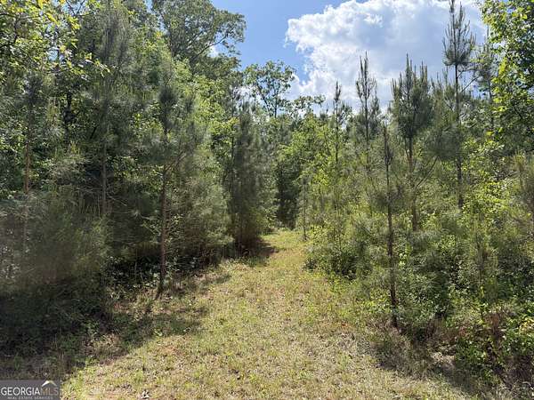 12 Acres of Recreational & Residential Land for Sale in Cuthbert, Georgia