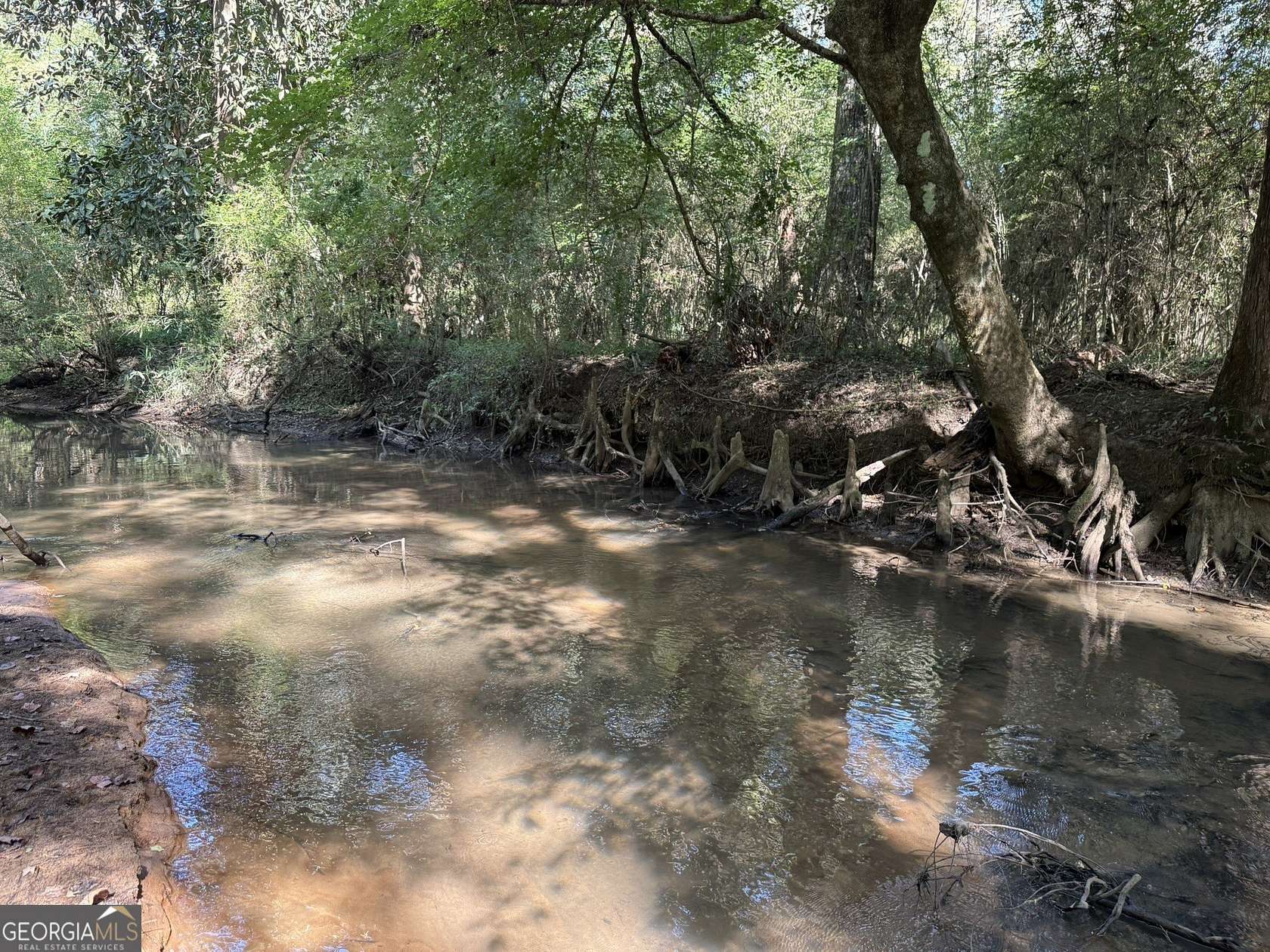 14.9 Acres of Recreational Land for Sale in Cuthbert, Georgia