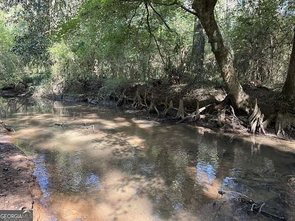 14.9 Acres of Recreational Land for Sale in Cuthbert, Georgia