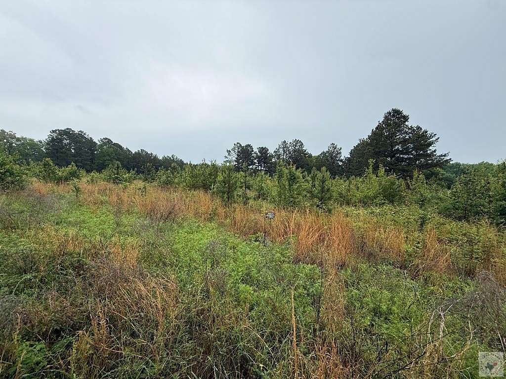 26 Acres of Land for Sale in Texarkana, Arkansas