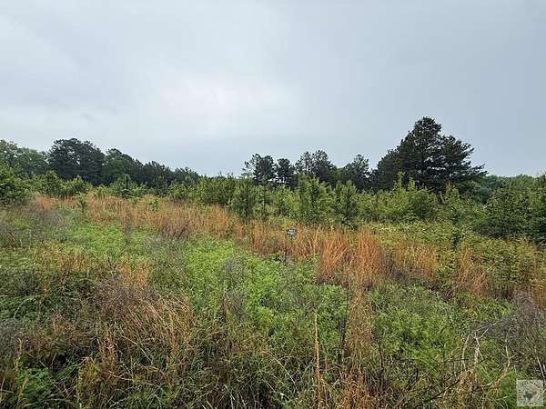 26 Acres of Land for Sale in Texarkana, Arkansas