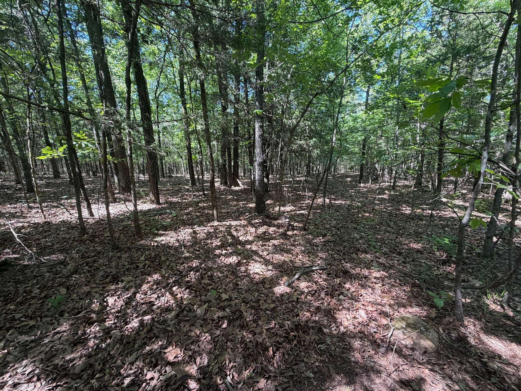 200 Acres of Recreational Land for Sale in Bradford, Arkansas