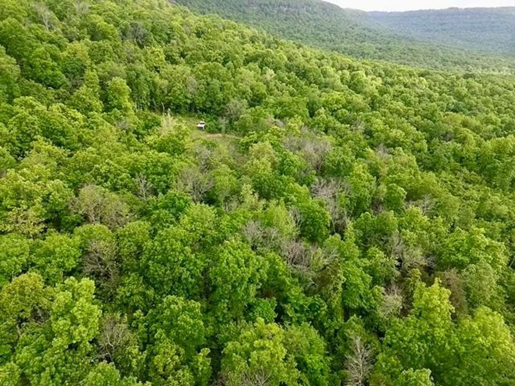 40 Acres of Recreational Land for Sale in Marble Falls Township, Arkansas