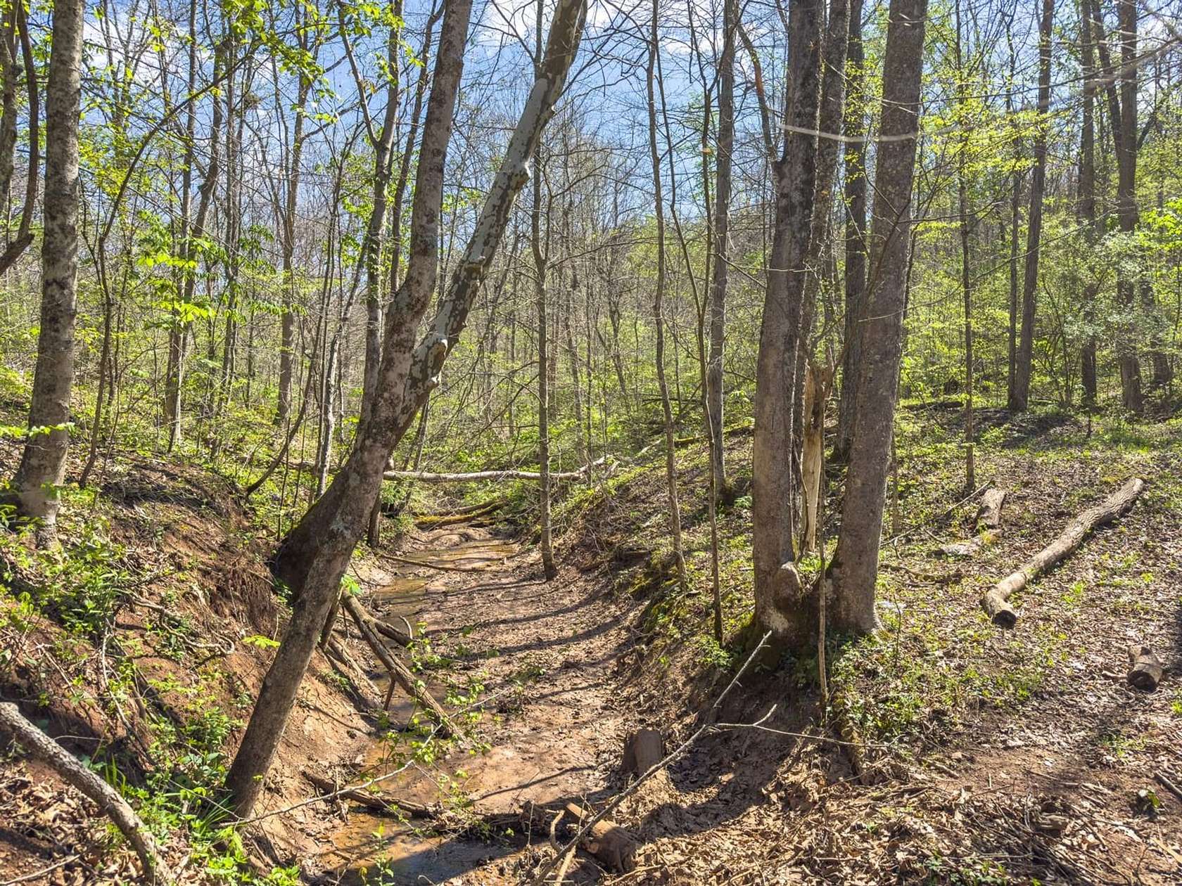 24.7 Acres of Recreational Land for Sale in Chesterhill, Ohio