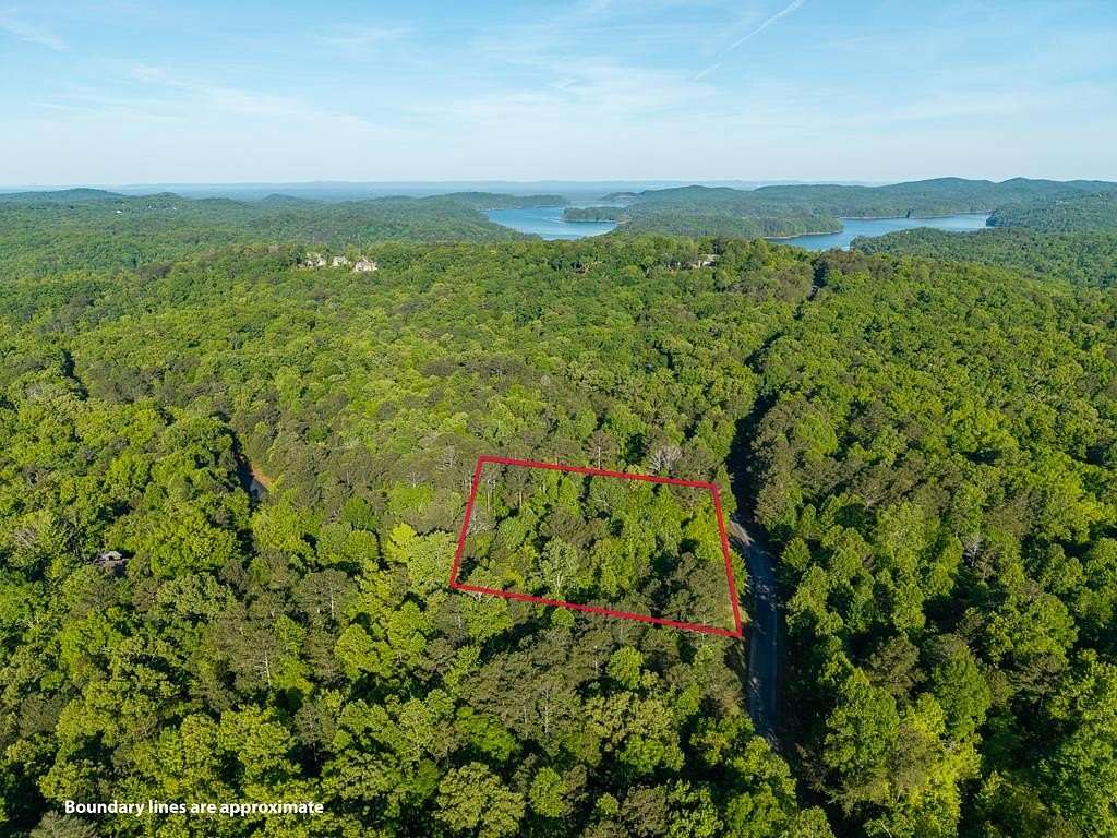 1 Acre of Residential Land for Sale in Ellijay, Georgia