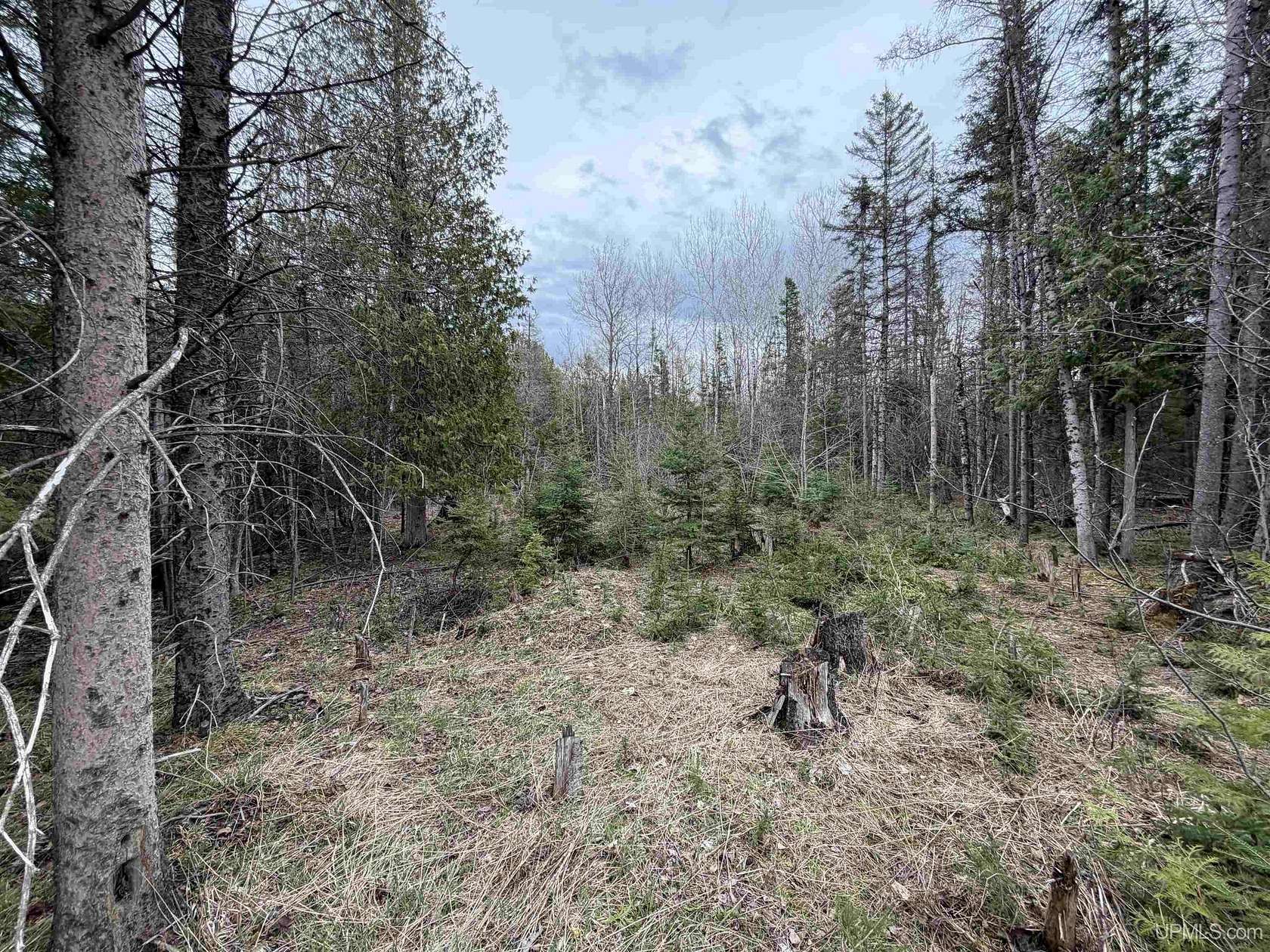 1.15 Acres of Residential Land for Sale in Trenary, Michigan