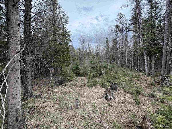 1.15 Acres of Residential Land for Sale in Trenary, Michigan