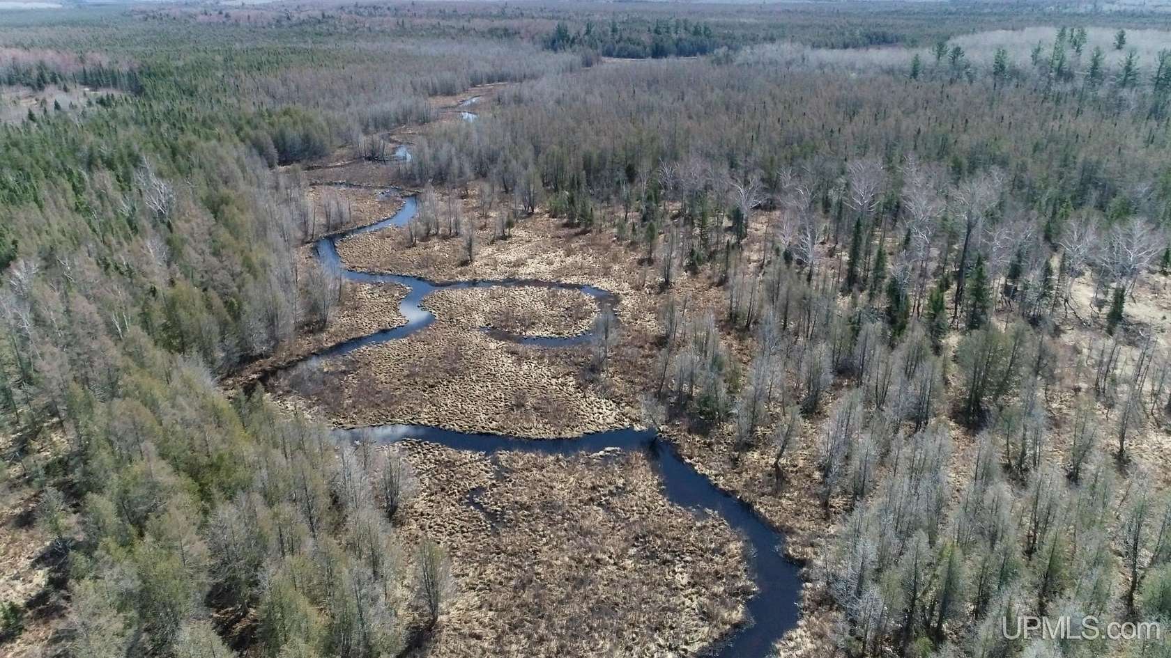 80 Acres of Recreational & Residential Land for Sale in Perronville, Michigan
