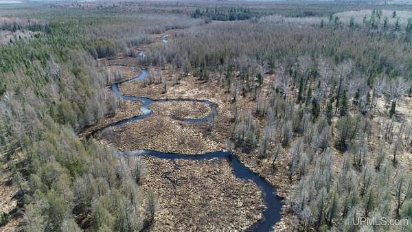 80 Acres of Recreational & Residential Land for Sale in Perronville, Michigan