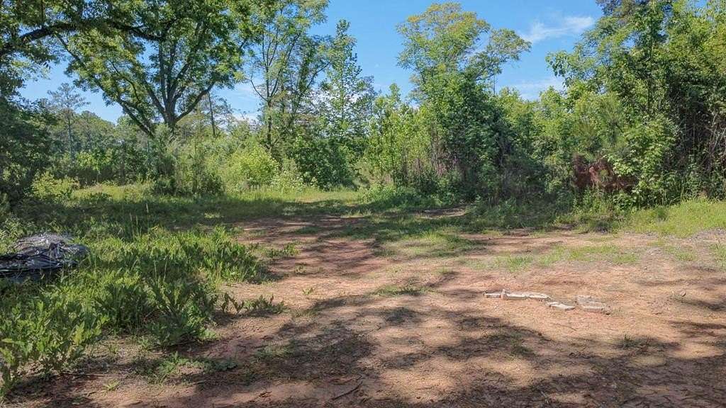 50 Acres of Recreational & Residential Land for Sale in Cataula, Georgia