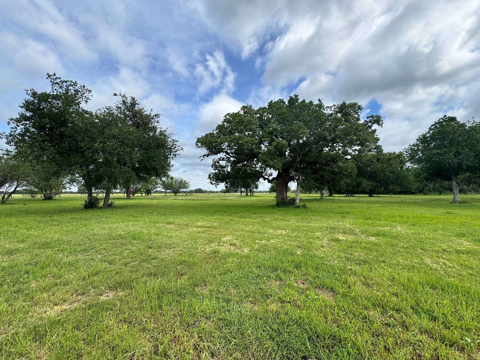 Residential Land for Sale in Yorktown, Texas