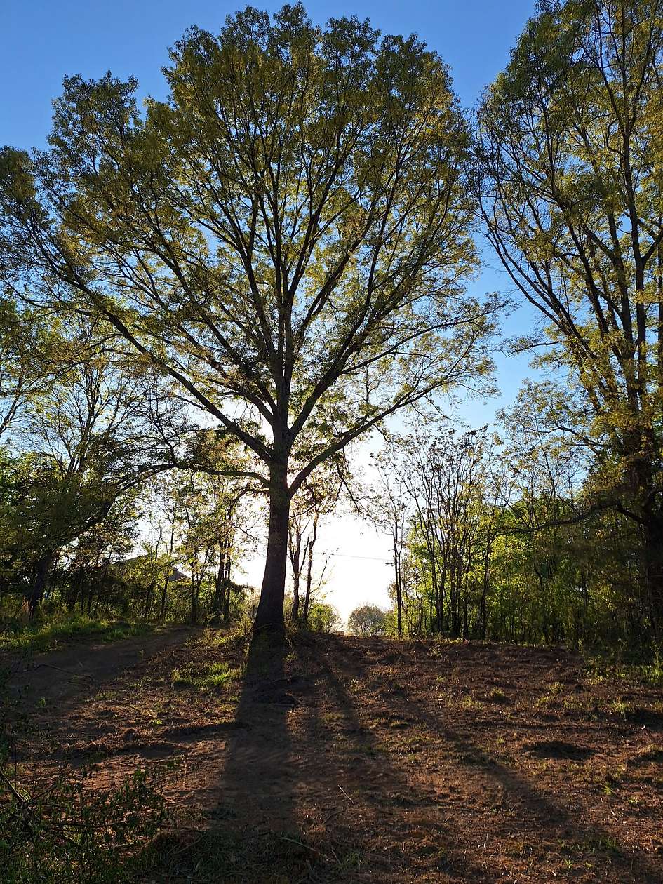 7.22 Acres of Residential Land for Sale in Rock Island, Tennessee