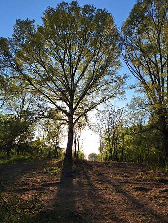 7.22 Acres of Residential Land for Sale in Rock Island, Tennessee