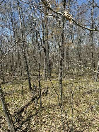 0.55 Acres of Residential Land for Sale in Lake, Michigan
