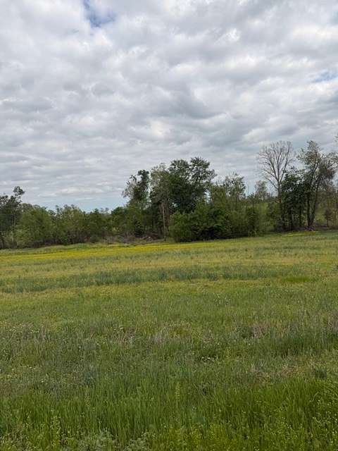8.82 Acres of Residential Land for Auction in Lafayette, Tennessee