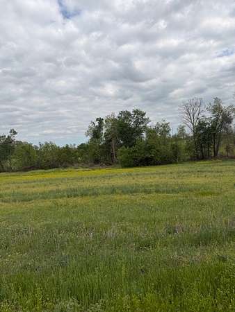 8.82 Acres of Residential Land for Auction in Lafayette, Tennessee