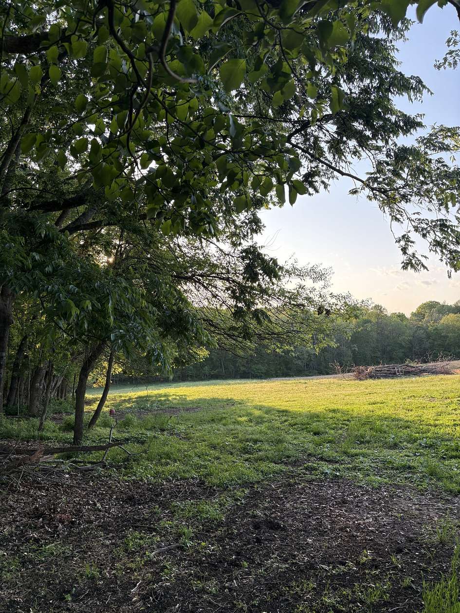 5 Acres of Residential Land for Sale in Portland, Tennessee
