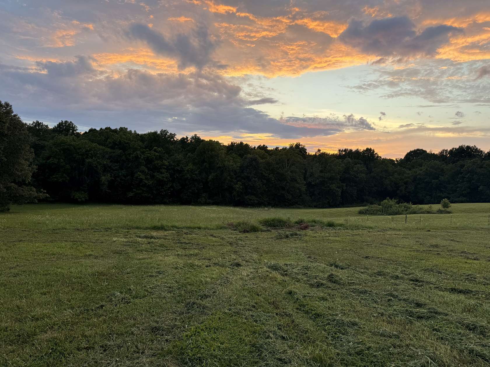 5 Acres of Residential Land for Sale in Portland, Tennessee