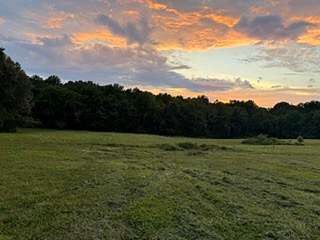 5 Acres of Residential Land for Sale in Portland, Tennessee