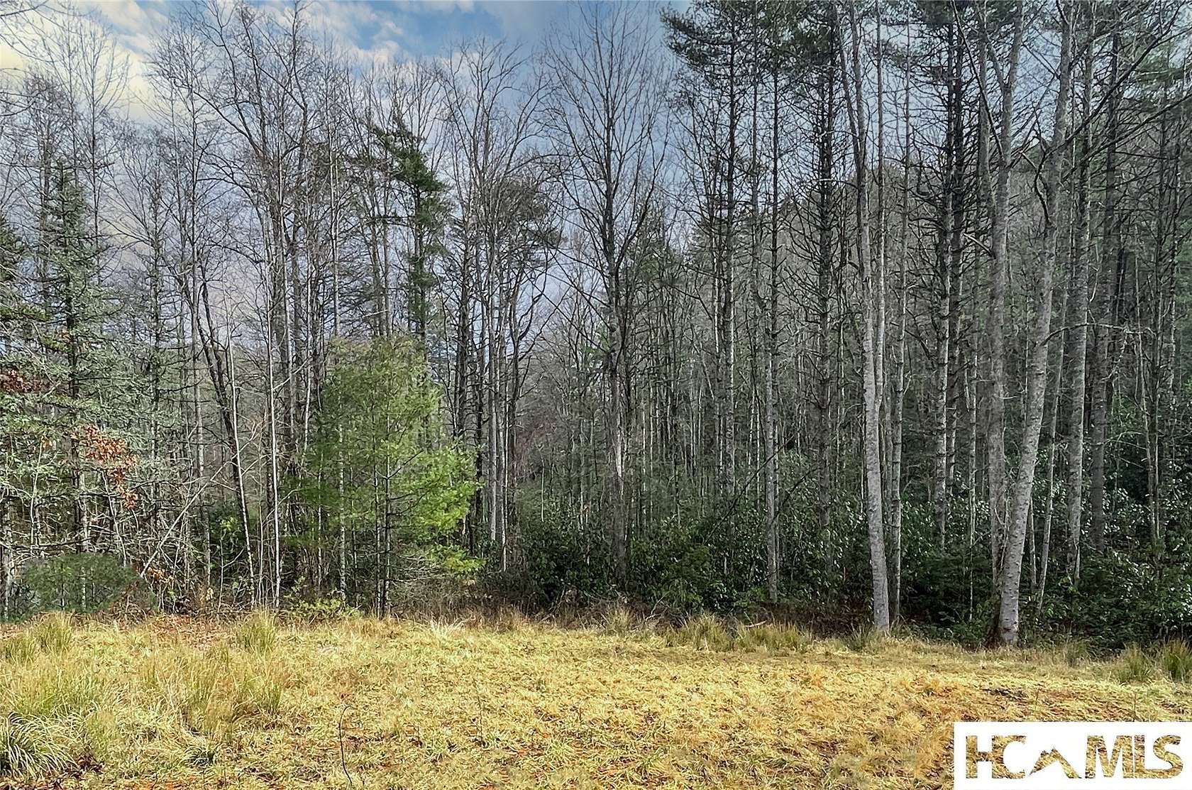 1.14 Acres of Residential Land for Sale in Cashiers, North Carolina